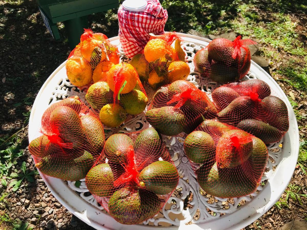 Maleny Monet Studio Dış mekan fotoğraf