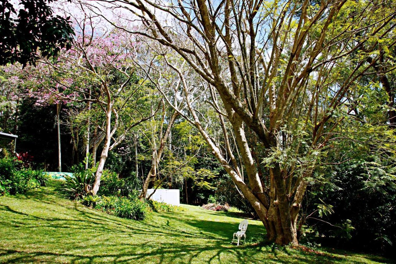 Maleny Monet Studio Dış mekan fotoğraf